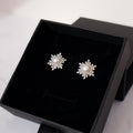 ARETES STELLA